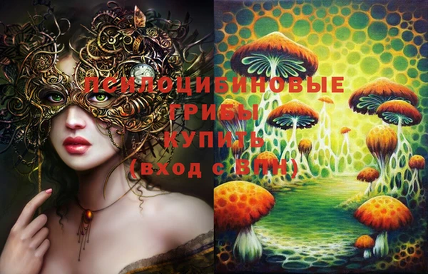 тгк Абинск