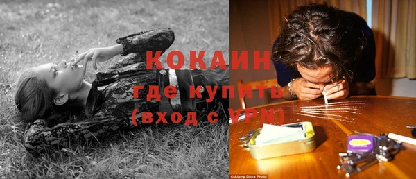 крисы Алексеевка